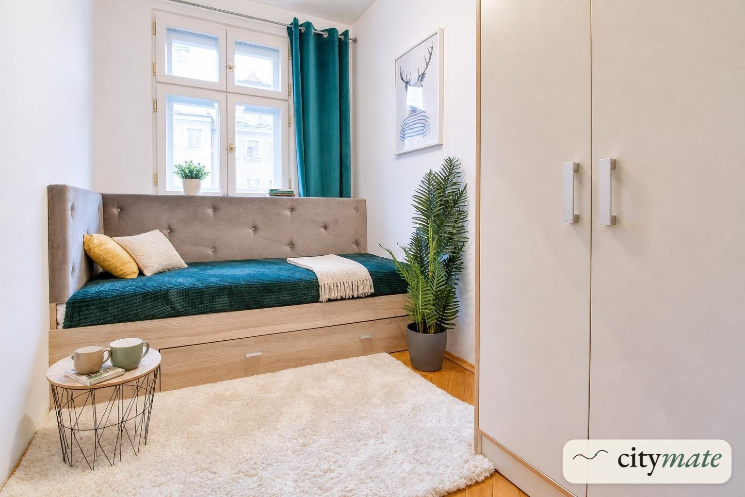 Room 9 sq m with day bed and wardrobe